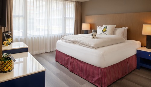 Suite, 1 King Bed