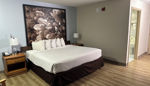 Room, 1 King Bed, Accessible, Smoking