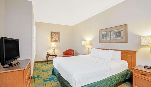 Room, 1 King Bed, Accessible, Non Smoking (Tub with Grab Bars)