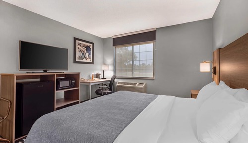 Standard Room, 1 King Bed, Accessible, Non Smoking (Accessible Tub)