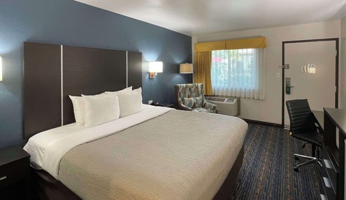 Standard Room, 1 King Bed, Non Smoking