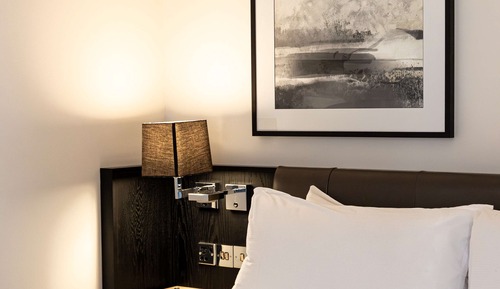 Room, 1 King Bed