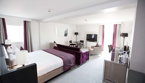 Junior Suite, 1 King Bed with Sofa bed, Business Lounge Access