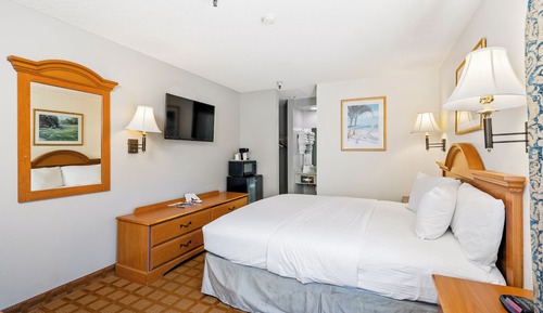Basic Single Room, 1 Queen Bed, Non Smoking