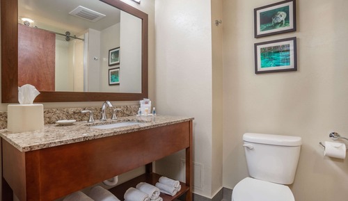 Suite, 1 King Bed with Sofa bed, Non Smoking (Pet Friendly)