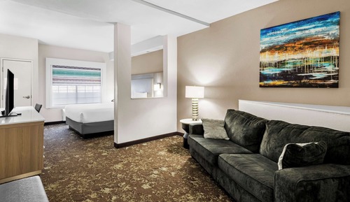 Suite, 1 King Bed, Non Smoking, Refrigerator & Microwave (with Sofabed)