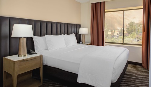 Suite, 1 King Bed, Accessible (Roll-in Shower)