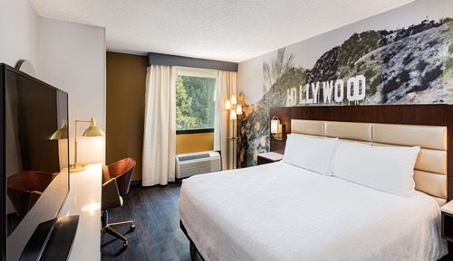 Room, 1 King Bed, Accessible (Roll-In Shower)