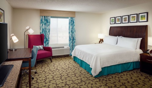 Room, 1 Queen Bed, Accessible (Roll-In Shower)
