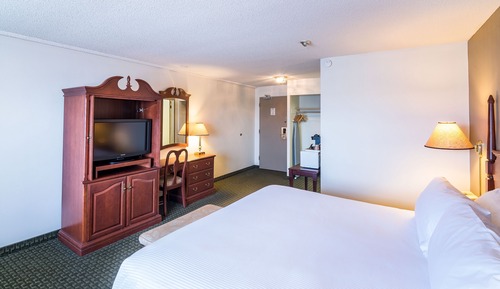 Room, 1 King Bed, Non Smoking
