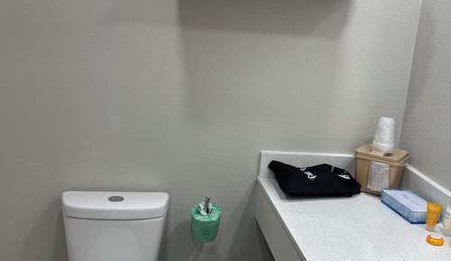 Room, 1 King Bed, Accessible