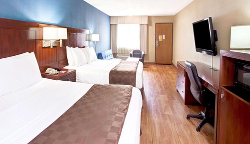 Studio Suite, Multiple Beds, Non Smoking