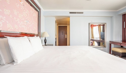 Single Room, 1 King Bed