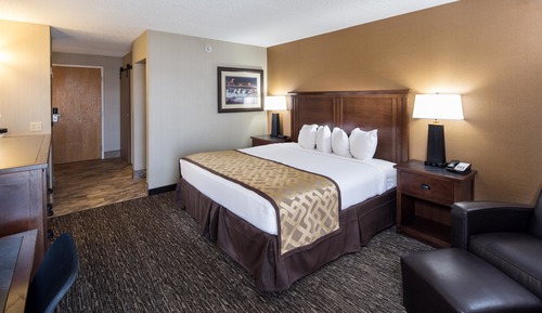Business Room, 1 King Bed, Non Smoking