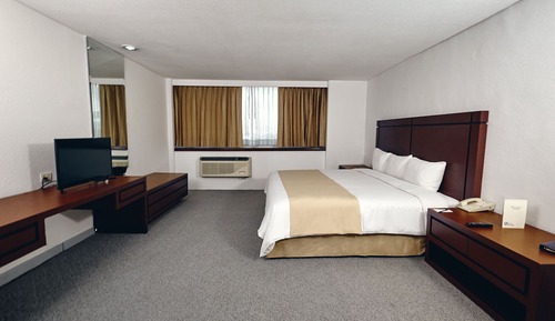 Standard Room, 1 King Bed, City View