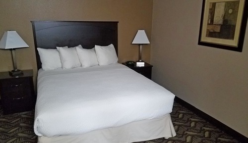 Executive, One Queen Bed, Non-Smoking