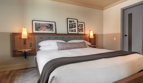Room, 1 King Bed, Partial View
