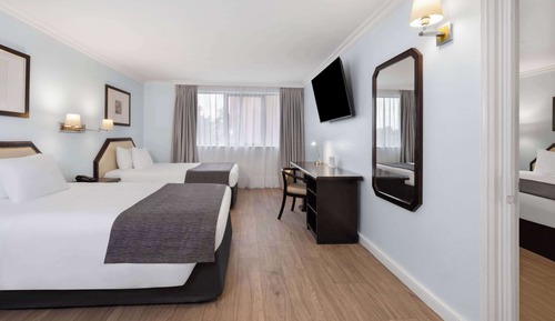 Superior Room, 1 King Bed, Connecting Rooms