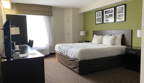 Room, 1 Queen Bed, Accessible, Non Smoking