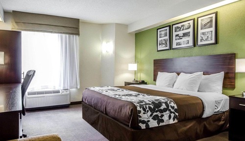 Standard Room, 1 King Bed, Non Smoking