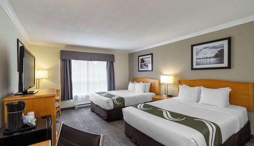 Traditional Room, 2 Queen Beds