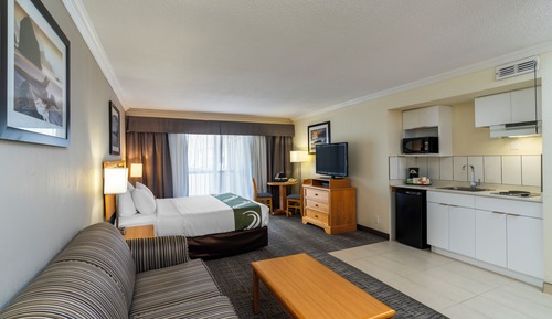 Room, 1 King Bed, Non Smoking (Efficiency, Upgrade)