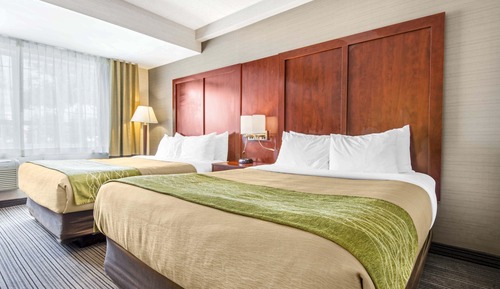 Room, 2 Queen Beds