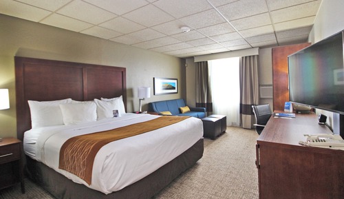 Standard Room, 1 King Bed, Non Smoking