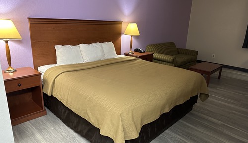 Room, 1 King Bed, Smoking (Pet Friendly)
