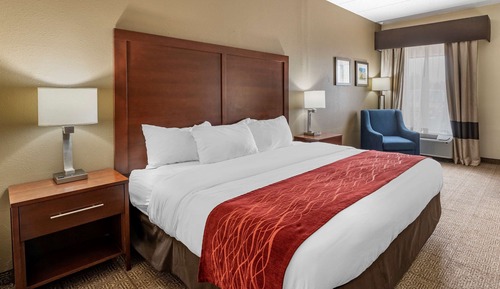 Room, 1 King Bed, Accessible, Non Smoking