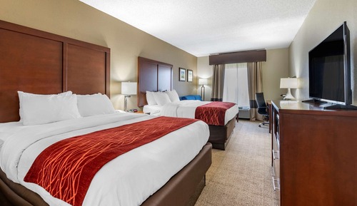 Standard Room, Multiple Beds (with Sofa Bed)