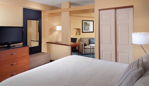 Executive Suite, 1 King Bed with Sofa bed