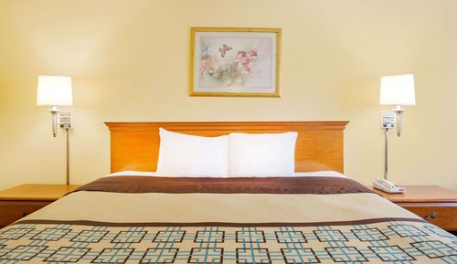 Room, 1 King Bed, Non Smoking