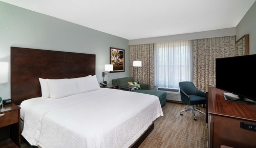 Room, 1 King Bed, Pool View (Shower Only)