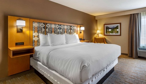 Room, 1 King Bed, Non Smoking