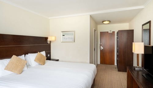 Classic Room, 1 Double Bed