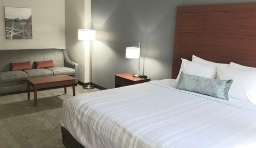 Standard Room, 1 King Bed with Sofa bed, Non Smoking, Refrigerator & Microwave (with Sofabed)