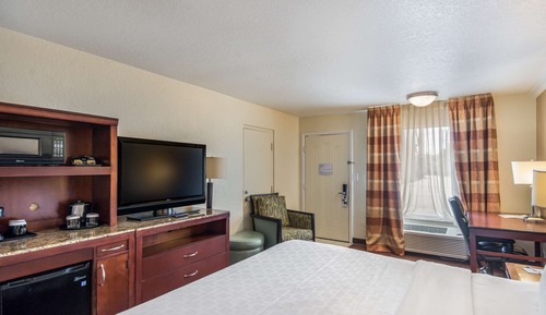 Room, 1 King Bed, Non Smoking