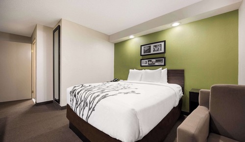 Room, 1 Queen Bed, Non Smoking