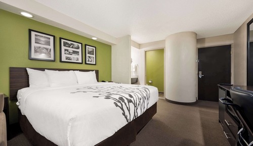 Standard Room, 1 King Bed, Non Smoking