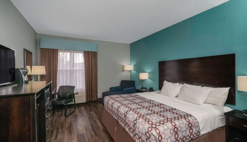 Room, 1 King Bed, Non Smoking