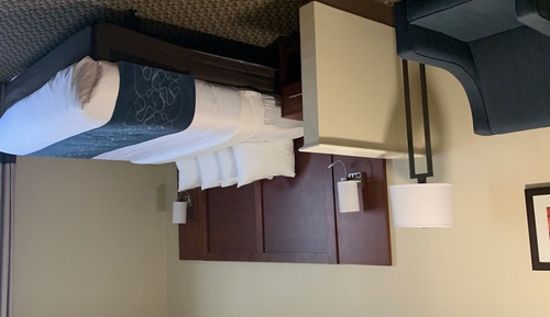 Suite, 1 King Bed, Non Smoking