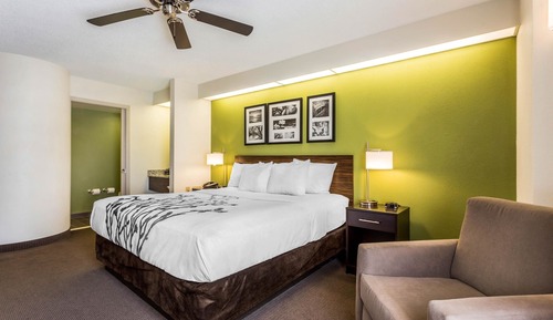 Standard Room, 1 King Bed, Non Smoking