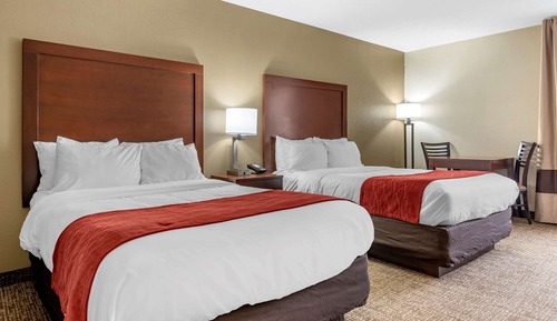 Basic Room, 2 Double Beds, Non Smoking