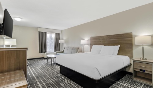 Standard Room, 1 King Bed, Non Smoking, Refrigerator & Microwave (with Sofabed)