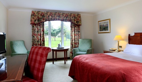 Standard Room, 1 King Bed (Standard King)