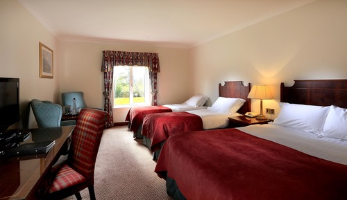 Standard Room, 1 Double Bed (Standard Double Family 3)
