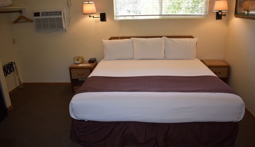 Room, 1 King Bed