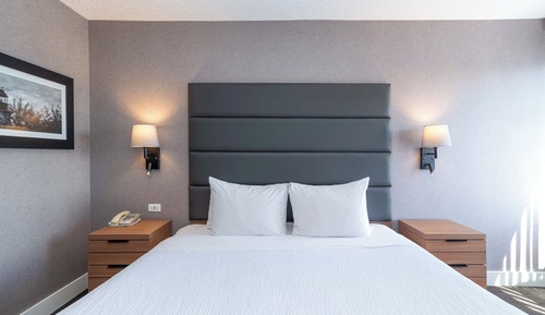 Standard Suite, 1 King Bed with Sofa bed, Kitchenette
