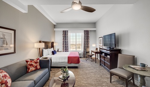 Room, 1 King Bed with Sofa bed